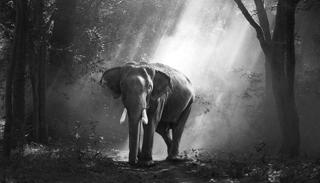 Mid01 Free Img 1024x587 1